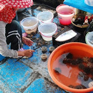 北新橋牛雜湯