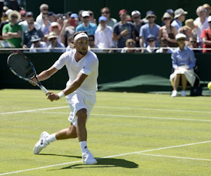 Steve Darcis krijgt op Wimbledon het gezelschap van nog een andere Belg