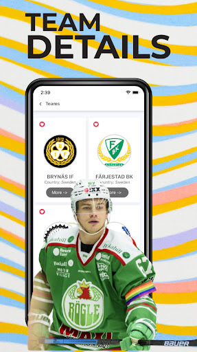 Screenshot Swedish Ice Hockey League