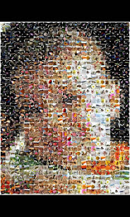 ZaBa Photo Mosaic Lite(圖3)-速報App
