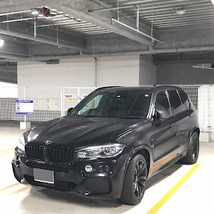 X5 F15