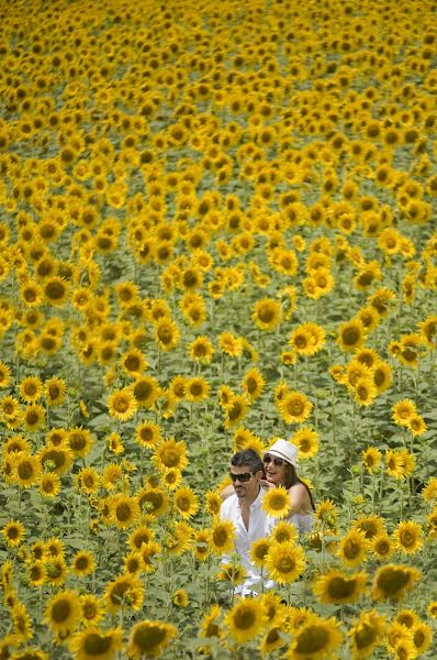 Fotograful de nuntă Fraco Alvarez (fracoalvarez). Fotografia din 18 iulie 2017