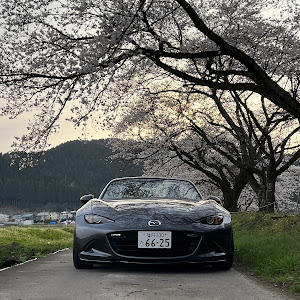 ロードスター ND5RC