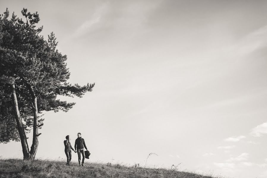 Wedding photographer Tibor Erdősi (erdositibor). Photo of 5 April 2016