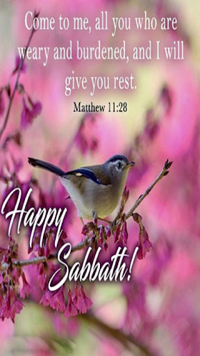 Download Happy Sabbath Quotes Free For Android Happy Sabbath Quotes Apk Download Steprimo Com