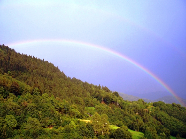 Somewhere over the rainbow di cicealix