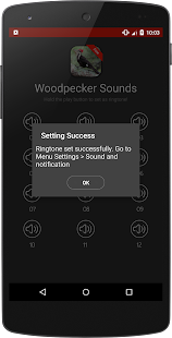 Woodpecker Bird Sounds - náhled