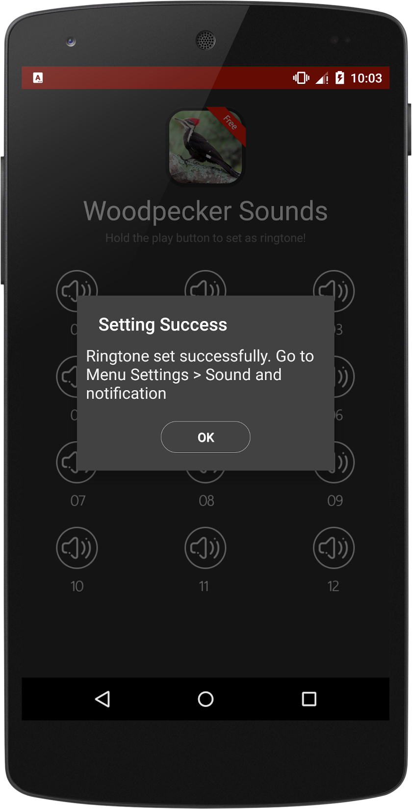 Woodpecker Bird Sounds Screen 3
