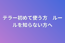 テラー初めて使う方　ルールを知らない方へ