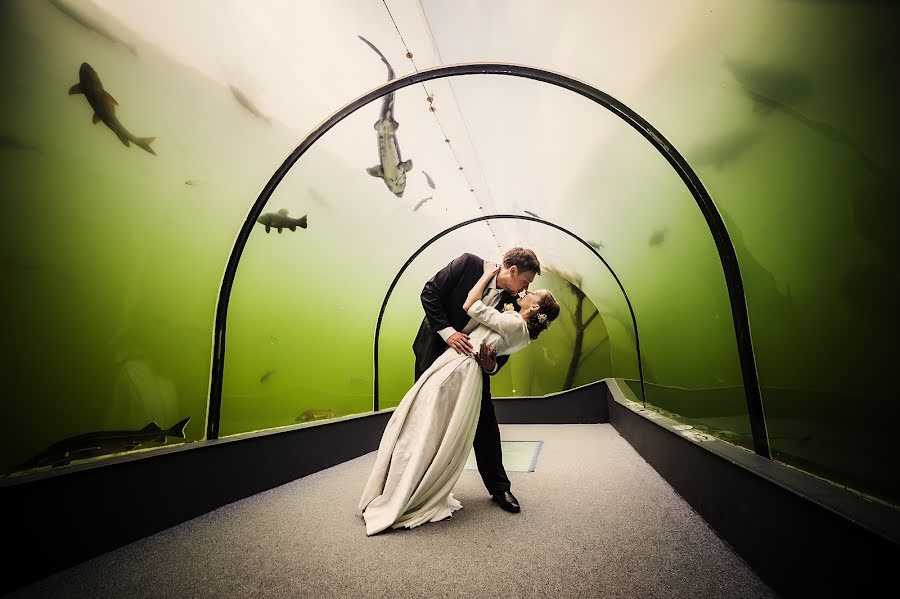 Photographe de mariage Lukáš Velecký (veleck). Photo du 16 juillet 2015