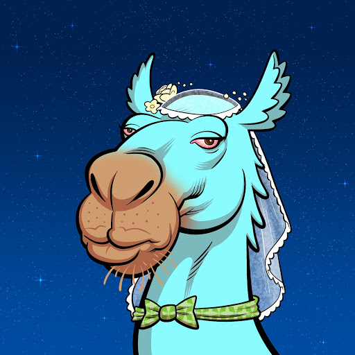 Arabian Camel #3516