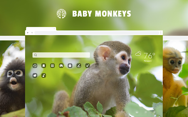 Baby Monkeys HD Wallpaper New Tab Theme