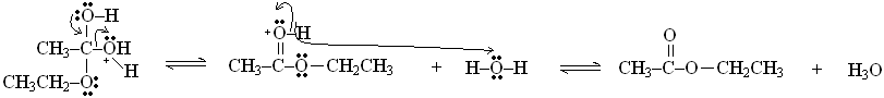 Medicinal (Prac)-5.bmp