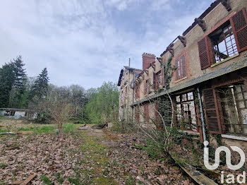 château à Ouzouer-des-Champs (45)