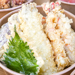 Tempura Don