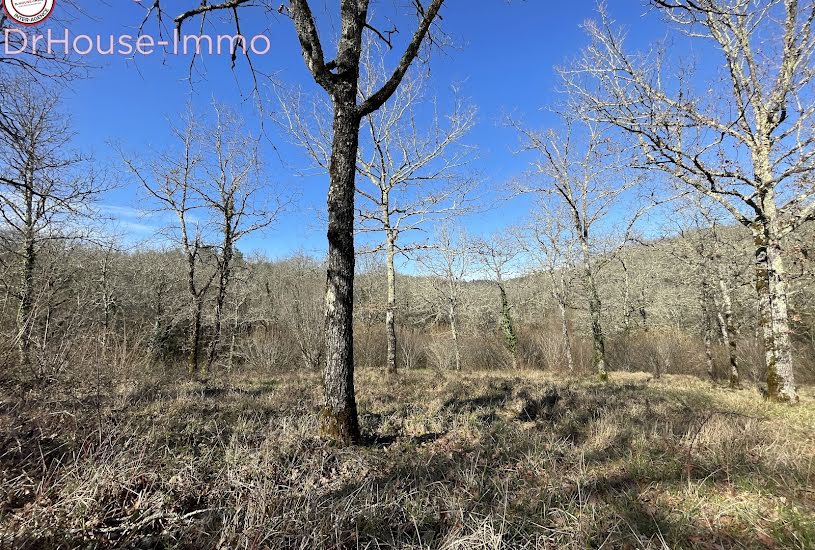  Vente Terrain agricole - 4 691m² à Bassillac (24330) 