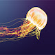 Jellyfish Wallpapers New Tab Theme