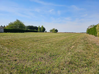 terrain à Gommerville (28)