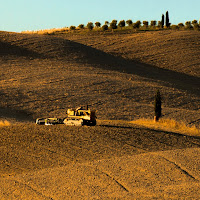 Estate toscana di 