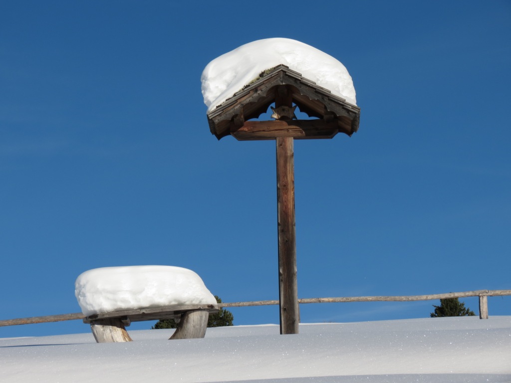 "Vacanza" invernale di pizzicastelle