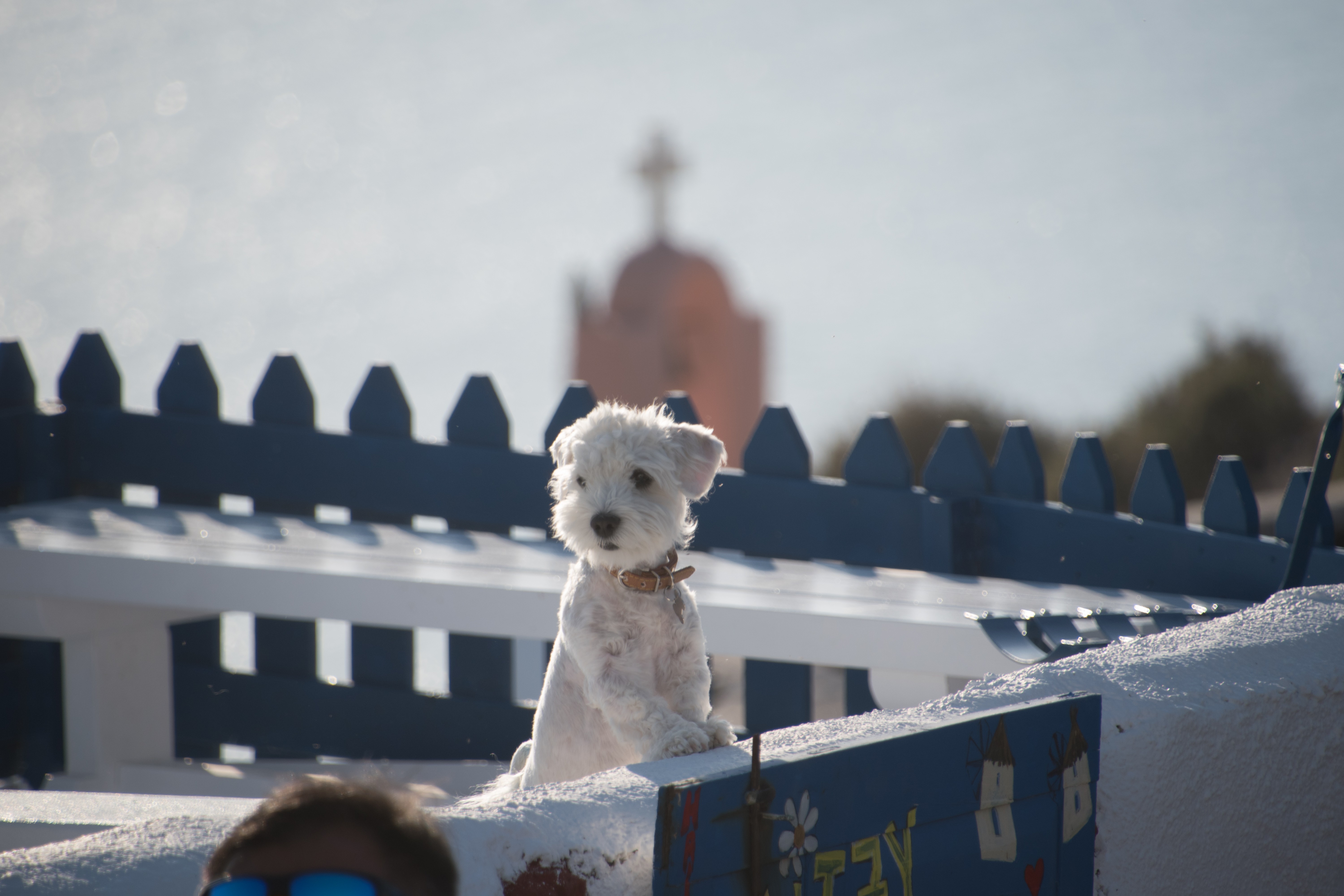 ...ma dove vuoi andare, che vivi a Santorini?... di zine21