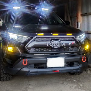 RAV4 MXAA54