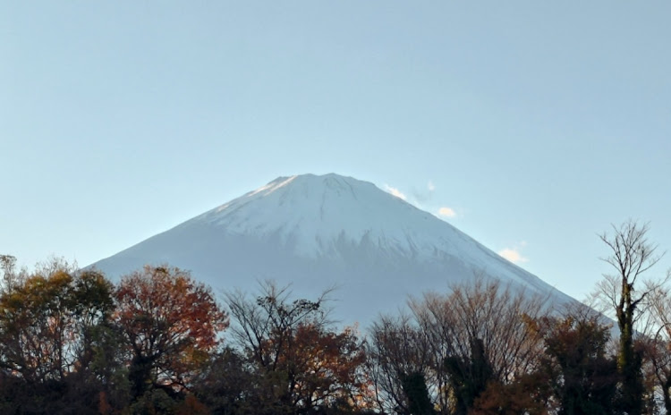 の投稿画像2枚目