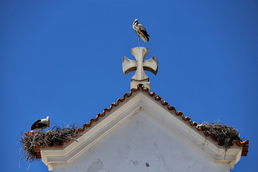 Portugalia