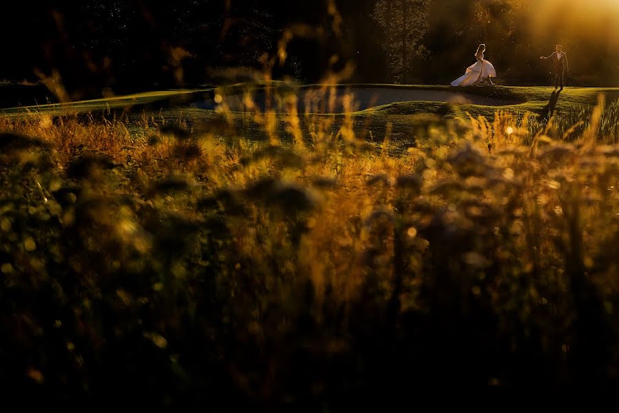 Huwelijksfotograaf Tara Theilen (theilenphoto). Foto van 10 oktober 2017