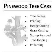 Pinewoodtreecare Logo