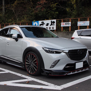 CX-3 DK5AW