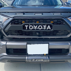 RAV4 MXAA54