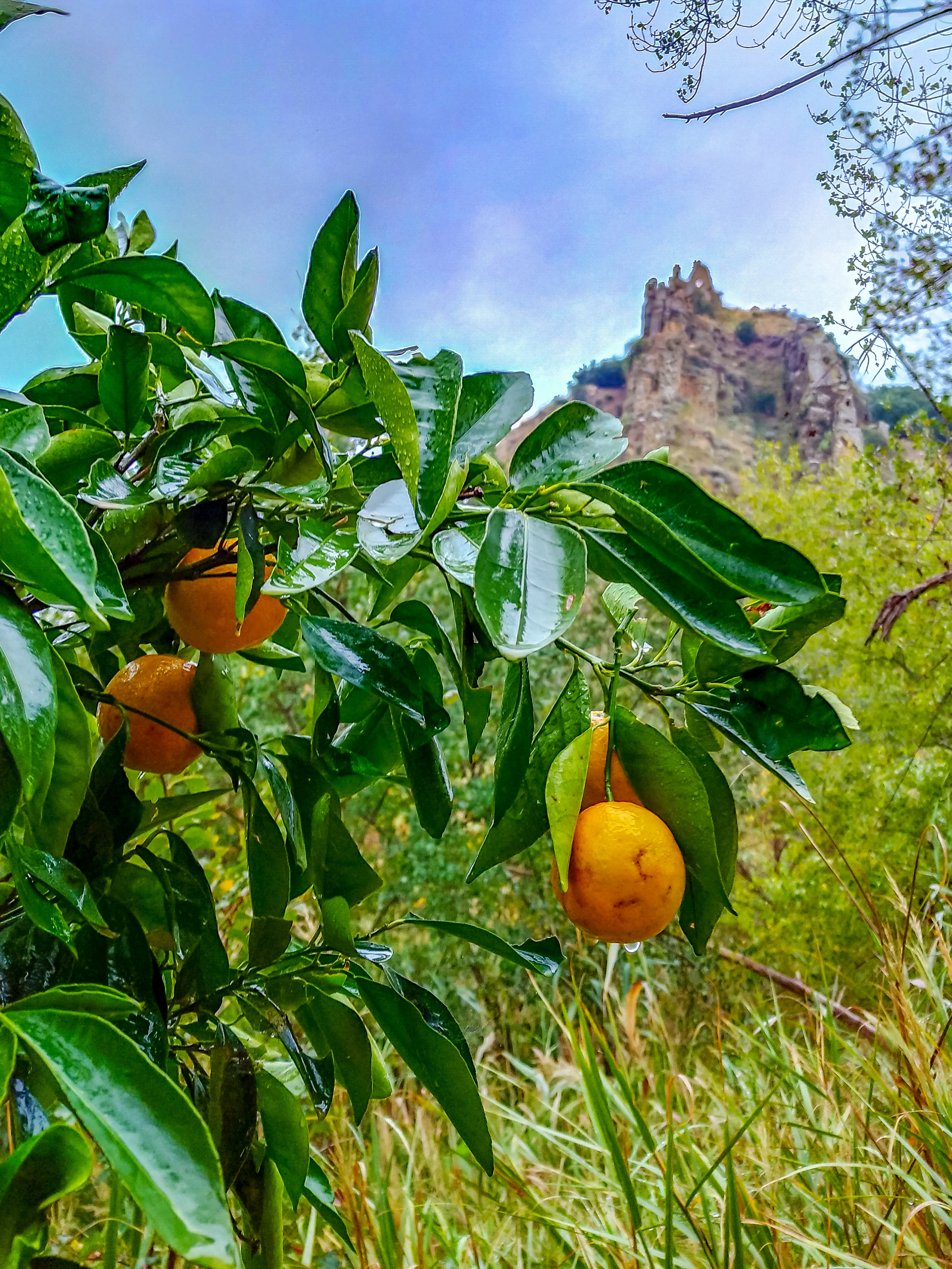 Sotto il castello di AngeloEsse