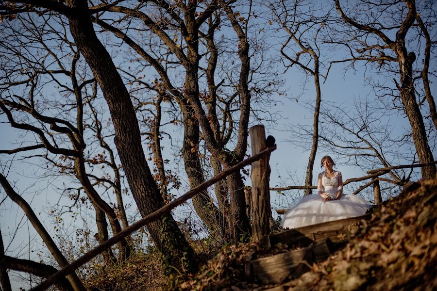 Wedding photographer Marko Milivojevic (milivojevic). Photo of 22 February 2019