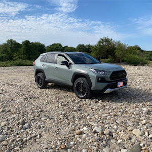 RAV4 MXAA54