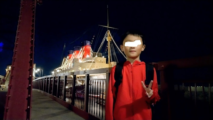 エブリイバンのTDR・TDH・夢の国の朝は早い・ディズニーシー・ディズニーランドホテルに関するカスタム事例の投稿画像1枚目
