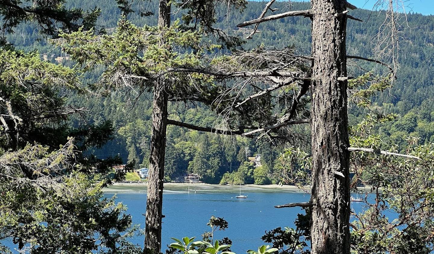 Terrain Salt Spring Island