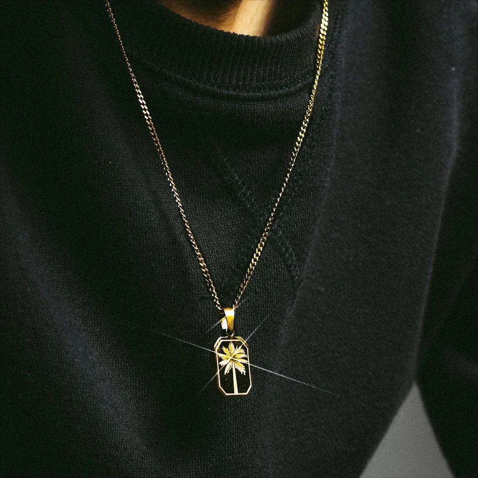 Colar masculino com pingente de aço titânio, placa militar quadrada com folha de palmeira, estilo moderno e durável.