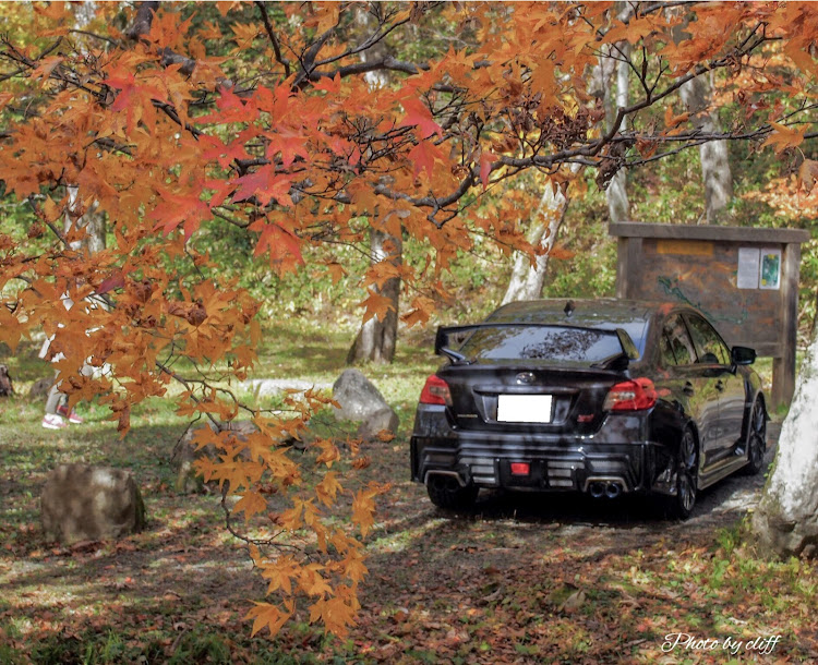 WRX STIのせせらぎ街道・紅葉ツーリング・WRX STIに関するカスタム事例の投稿画像16枚目