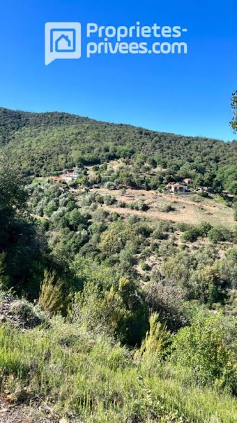 Vente terrain  6800 m² à Caixas (66300), 110 000 €