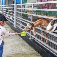 水鹿咖啡親子館