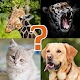 Animal Quiz - Learn All Animals and Birds for Kids