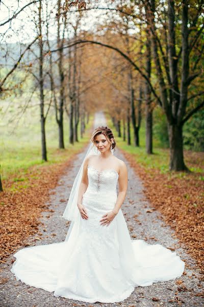 Photographe de mariage László Csanaki (csanakilaszlo). Photo du 25 février 2019