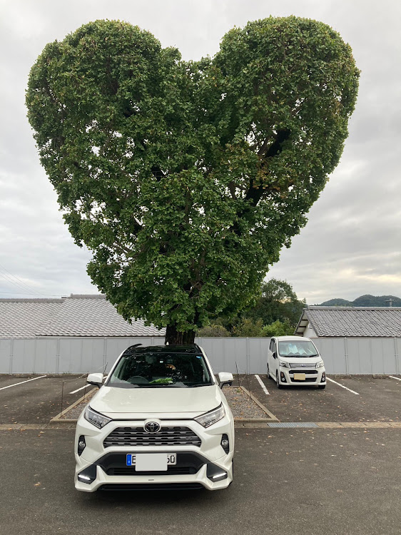 RAV4の長崎県に関するカスタム事例の投稿画像1枚目