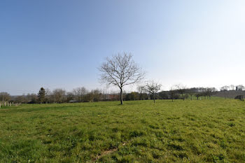 propriété à Saint-Mars-d'Egrenne (61)