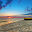 Summer | Solstice Download on Windows