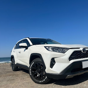 RAV4 MXAA54