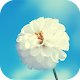 Download Collection of Flowers GIF For PC Windows and Mac 1.0