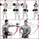 Tutoriel sur la musculation musculation icon