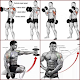 Download bodybuilding muscle training tutorial For PC Windows and Mac 1.0